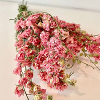 Delphinium rose, French Blooming, DIY, Chaton et Monsieur Ours, création en fleurs séchées, delphinium delphinium bleu delphinium elatum delphinium fleur fleur séchée delphinium rose delphinium bleu naturel séché