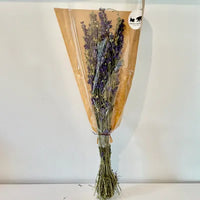 Delphinium bleu, French Blooming, DIY, Chaton et Monsieur Ours, création en fleurs séchées, delphinium delphinium bleu delphinium elatum delphinium fleur fleur séchée delphinium rose delphinium bleu naturel séché