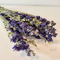 Delphinium bleu, French Blooming, DIY, Chaton et Monsieur Ours, création en fleurs séchées, delphinium delphinium bleu delphinium elatum delphinium fleur fleur séchée delphinium rose delphinium bleu naturel séché