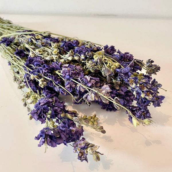 Delphinium bleu, French Blooming, DIY, Chaton et Monsieur Ours, création en fleurs séchées, delphinium delphinium bleu delphinium elatum delphinium fleur fleur séchée delphinium rose delphinium bleu naturel séché