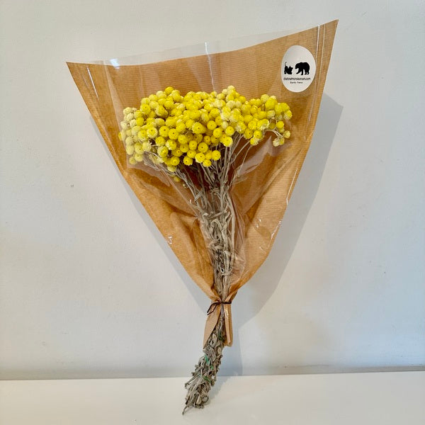 immortelle, immortelle jaune, fleurs immortelle, fleurs immortelle jaune, fleurs séchées, botte de séchées, bouquets de fleurs séchées, fleurs jaune, fleurs séchées jaune, fleurs immortelle jaune, immortelle jaune, immortelle rose, immortelle naturel, immortelle du var jaune, immortelle du var rose, immortelle du var naturel, fleurs choux fleurs, fleurs choux, fleurs séchées choux fleurs