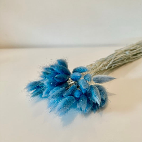 lagurus, lagurus séchée, bouquet de fleur séchée, botte de fleur séchée, Lagurus, Lagurus bleu, lagurus stroumph, accessoires déco, accessoires décorations, home déco, home, deco intérieur, déco intérieur, lapin queue herbes, lapin queue fleurs,  bouquet de fleurs séchées lagurus, fleurs séchées lagurus naturel