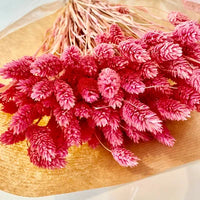 Phalaris, bouquet de phalaris, bottes fleurs séchées, fleurs séchées, DIY, fleurs naturels, phalaris, rose, phalaris, rose pale, phalaris naturel, phalaris orange, phalaris milka, phalaris violet, phalaris rouge, fleur séchée phalaris