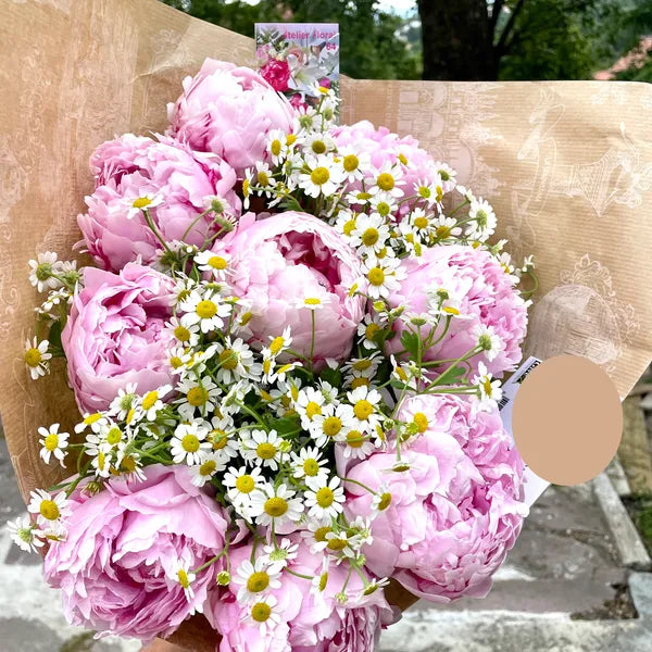 Bouquet de Pivoines Sarah Bernhardt