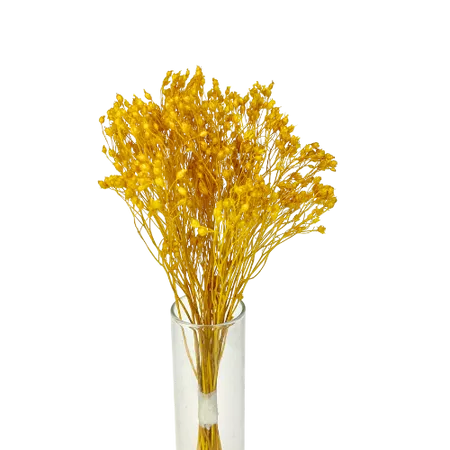 Yellow Broom-bloom Mini Bouquet, Complement, Box DIY