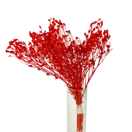 Broom-bloom rouge Mini Bouquet, Complément, Box DIY