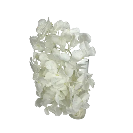 Hortensia blanche Mini Bouquet, Complément, Box DIY