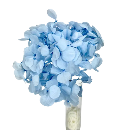 Blue Hydrangea Mini Bouquet, Complement, DIY Box