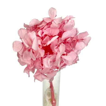 Hortensia rose Mini Bouquet, Complément, Box DIY