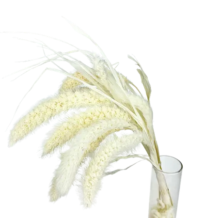 Seteria blanc Mini Bouquet, Complément, Box DIY