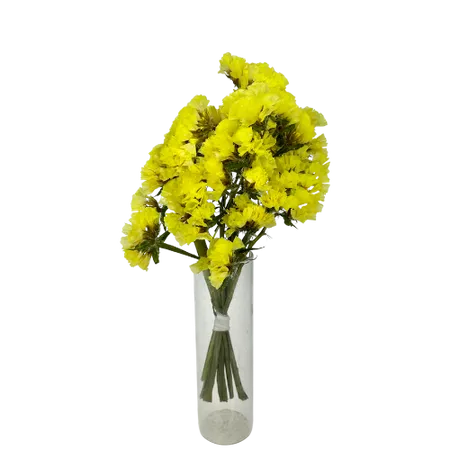 Statice jaune Mini Bouquet, Complément, Box DIY