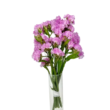 Statice pastel pink Mini Bouquet, Complement, Box DIY