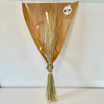 herbe séchée herbe séchée stipa pennata herbe séchée deco herbe sèche herbes séchées italienne Fleurs séchées déco plume herbe herbe sèche nature 50g Fleurs séchées  - acheter pas cher en ligne Tiges Plumeau Séché Herbe Pampa Naturelle stipa pennata petite herbe plumeuse fleurs séchées plumes